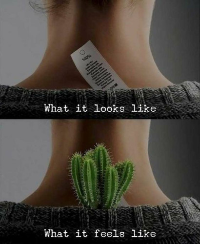 Two photos are shown on top of each other. The top photo shows a persons neck with a tag touching it. It has a caption that reads, “What it looks like”. The bottom photo shows the same picture, but the tag has been replaced with a cactus. The caption reads, “What if feels like”.