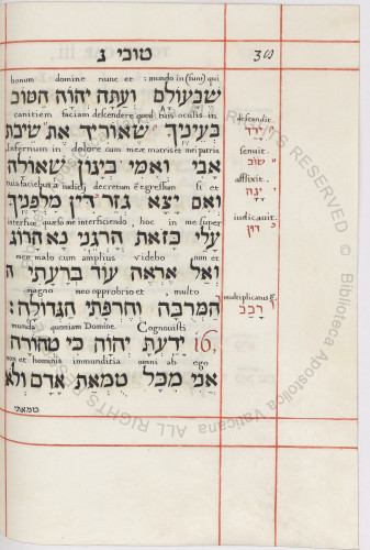 A page of hebrew text with Latin interliear translation, p.38 from Vat.lat.6715